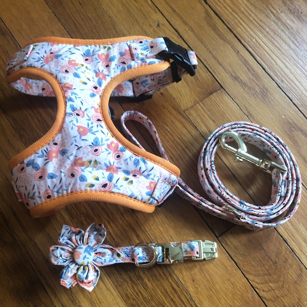 Beirui Cute Girl Dog Collars, Harnesses & Leashes Set - Size XS